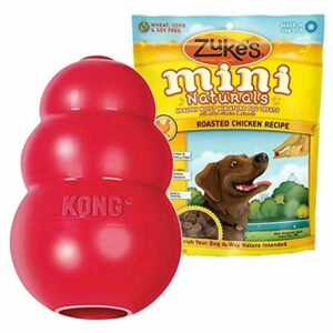 KONG Classic Dog Toy - Large