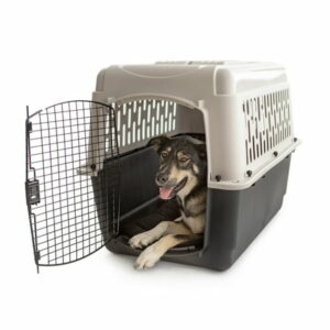 Vibrant Life Pet Kennel Medium 36 Dog Crate Plastic Travel Pet Carrier for Pets 50-70 lb Grey