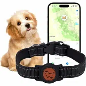 Wow PET GPS Tracker for Dogs Tracking Device Smart Collar Anti-Loss Portable Bluetooth IP67 Waterproof
