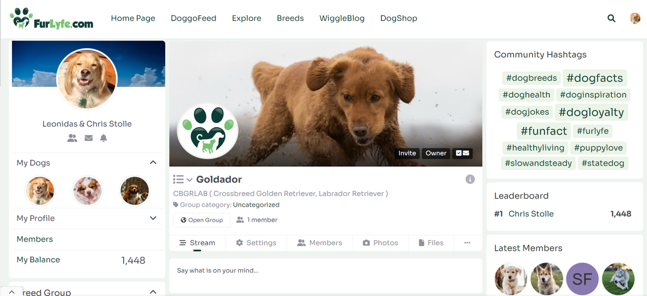 A snapshot of the goldador Furlyfe page