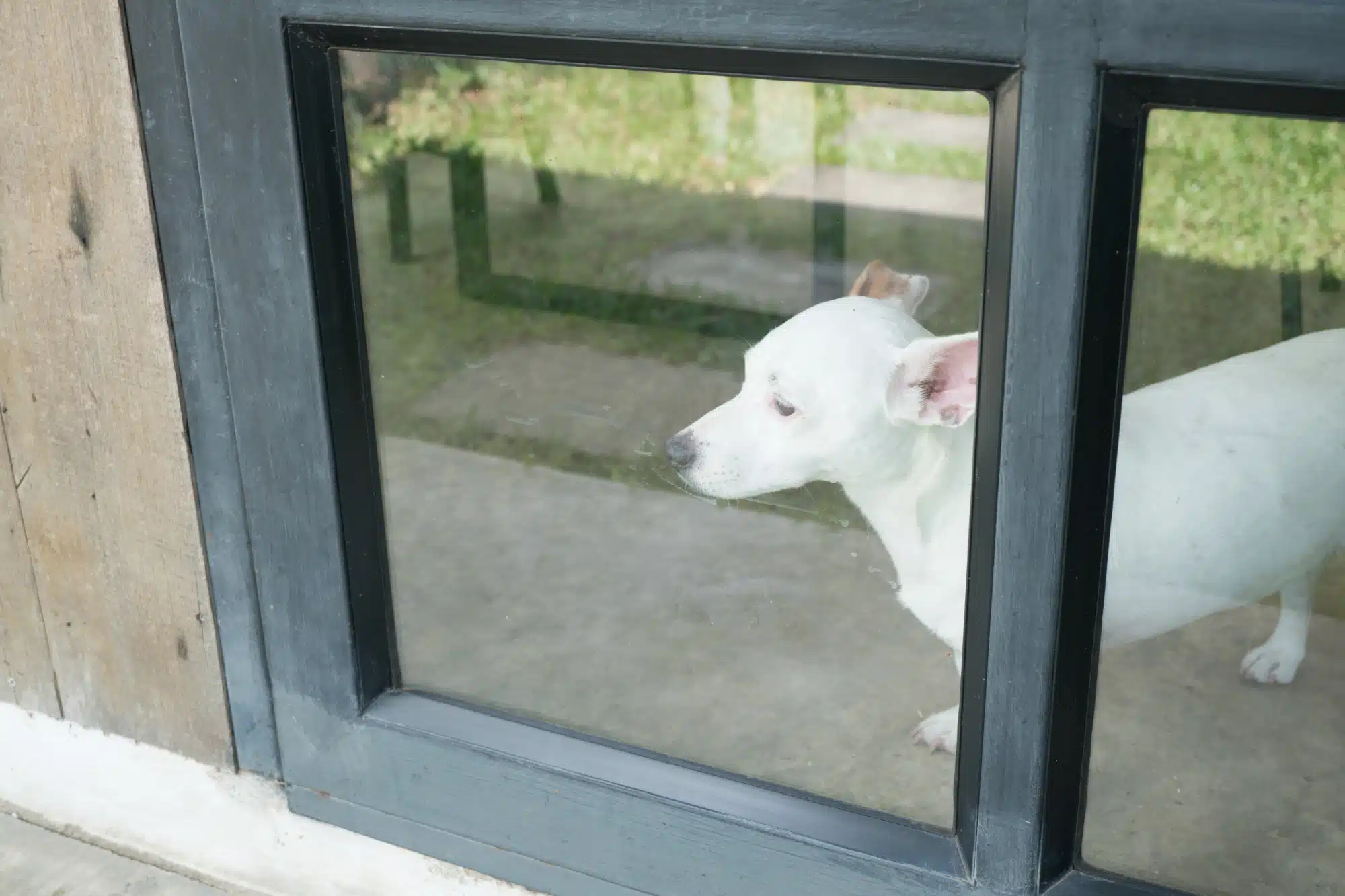 weatherproof door flap- Insulated Dog House