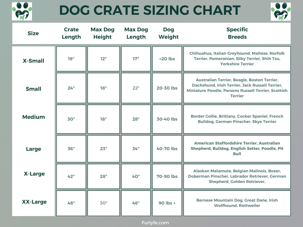 A dog crate sizing chart