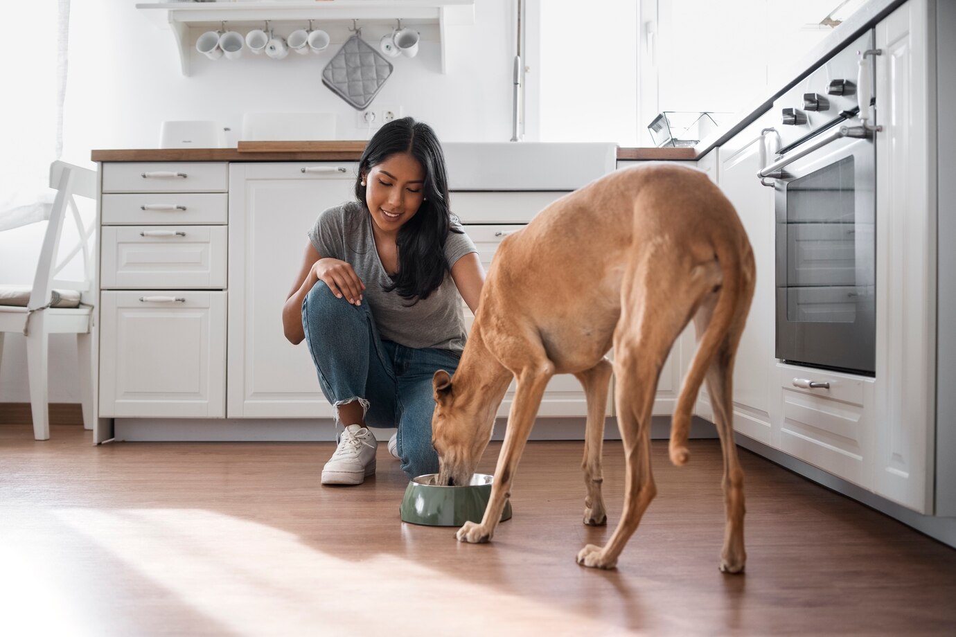 Can Dogs Drink Coconut Water? Everything You Need To Know