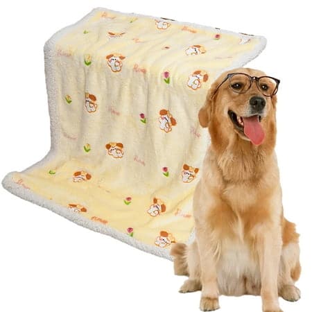 Doggy Mat for Couch Sofa Car Seat