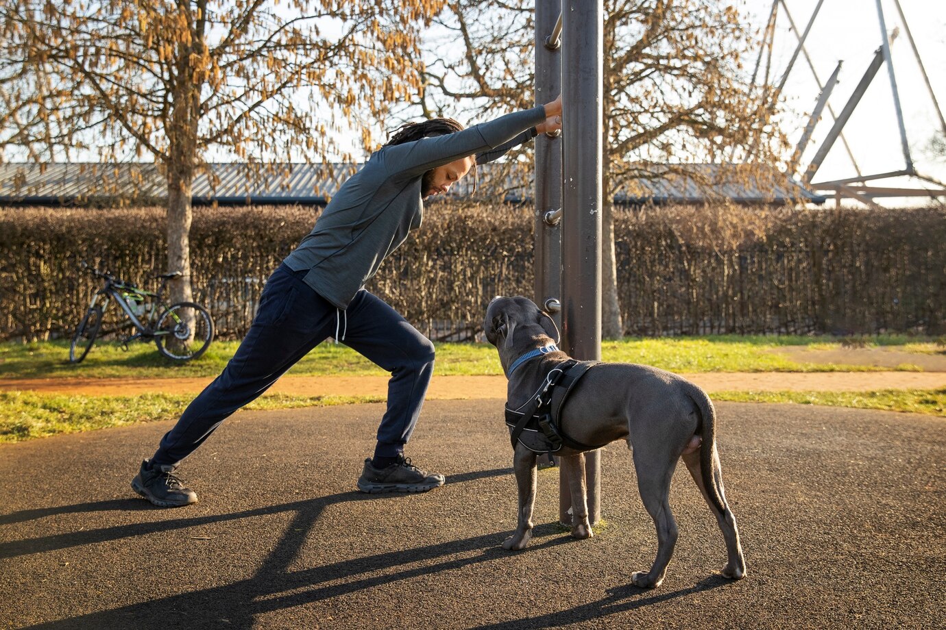 Training tips for calm dog breeds