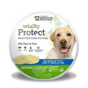 Vetality Protect Flea & Tick Dog Collar 2 pk
