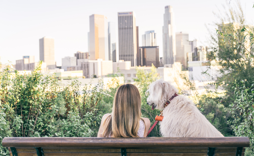 Woman sitting by her labradoodle looking over a city skyline