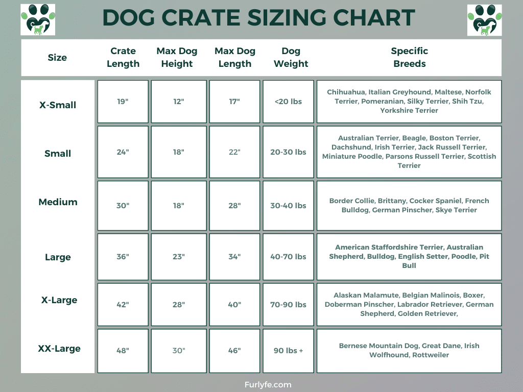 A Dog Crate Sizing Chart
