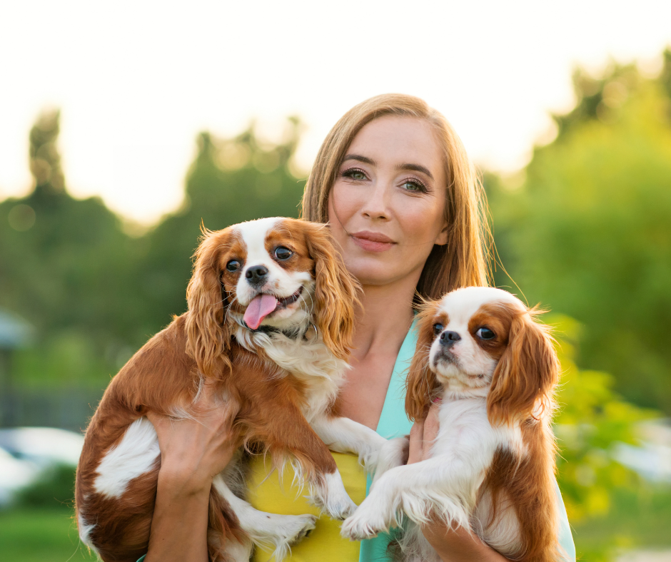 A dog breeder holding two dogs