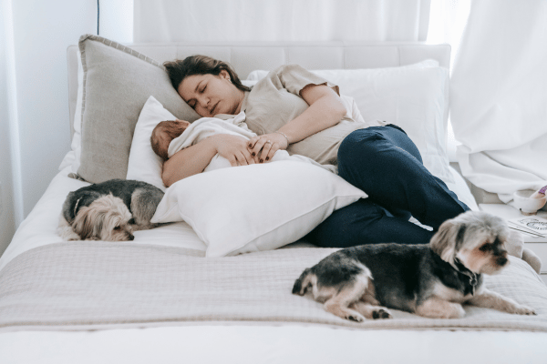 Best Dog Breeds For New Born Baby