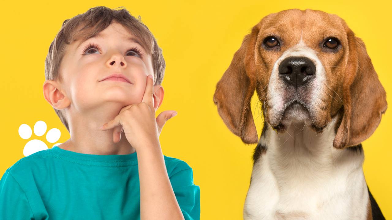 Best Dogs for Autistic Children