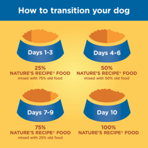 Nature's Recipe Grain-Free Salmon, Sweet Potato & Pumpkin Recipe Dry Dog Food - 24 lb Bag