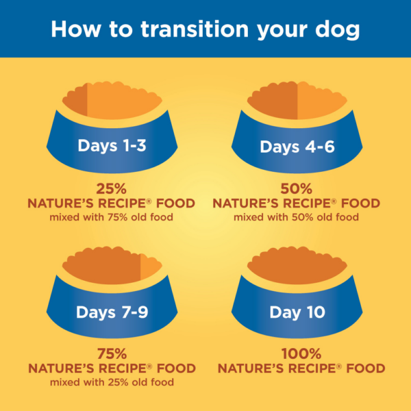 Nature's Recipe Grain-Free Salmon, Sweet Potato & Pumpkin Recipe Dry Dog Food - 24 lb Bag