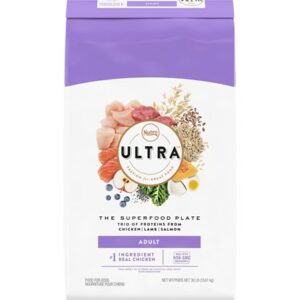 Nutro Ultra Holistic Adult Dry Dog Food 15 lb bag