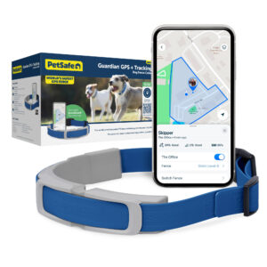PetSafe Guardian GPS + Tracking Dog Fence Collar, One Size Fits All, Grey / Blue
