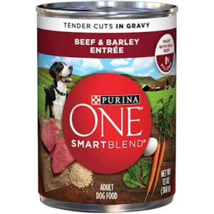 Purina ONE Tender Cuts Wholesome Beef and Barley Canned Dog Food 13-oz, case of 12