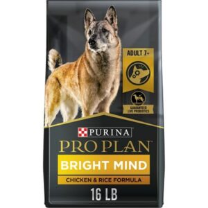 Purina Pro Plan Bright Mind Adult 7plus Chicken and Rice Formula Dry Dog Food 16-lb