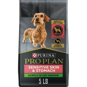 Purina Pro Plan High Protein Sensitive Skin & Stomach Small Breed Salmon & Rice Formula Dry Dog Food 4-lb