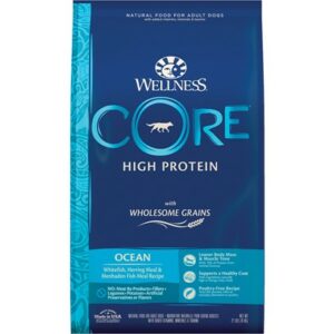 Wellness CORE High Protein Wholesome Grains Ocean Recipe Dry Dog Food 22-lb