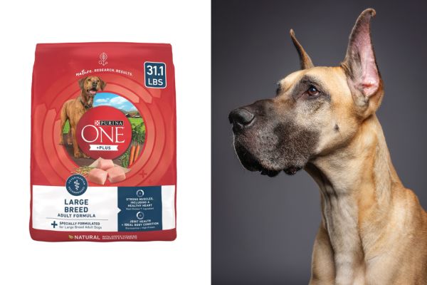 Purina-ONE-Smart-Blend-Large-Breed.