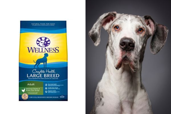 Wellness Large Breed Dog Food, Chicken & Rice