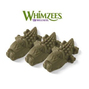Whimzees Medium Alligator Natural Daily Dental Long Lasting Dog Treats, Count of 1
